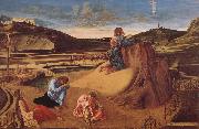 Giovanni Bellini Christ in Gethsemane oil painting reproduction
